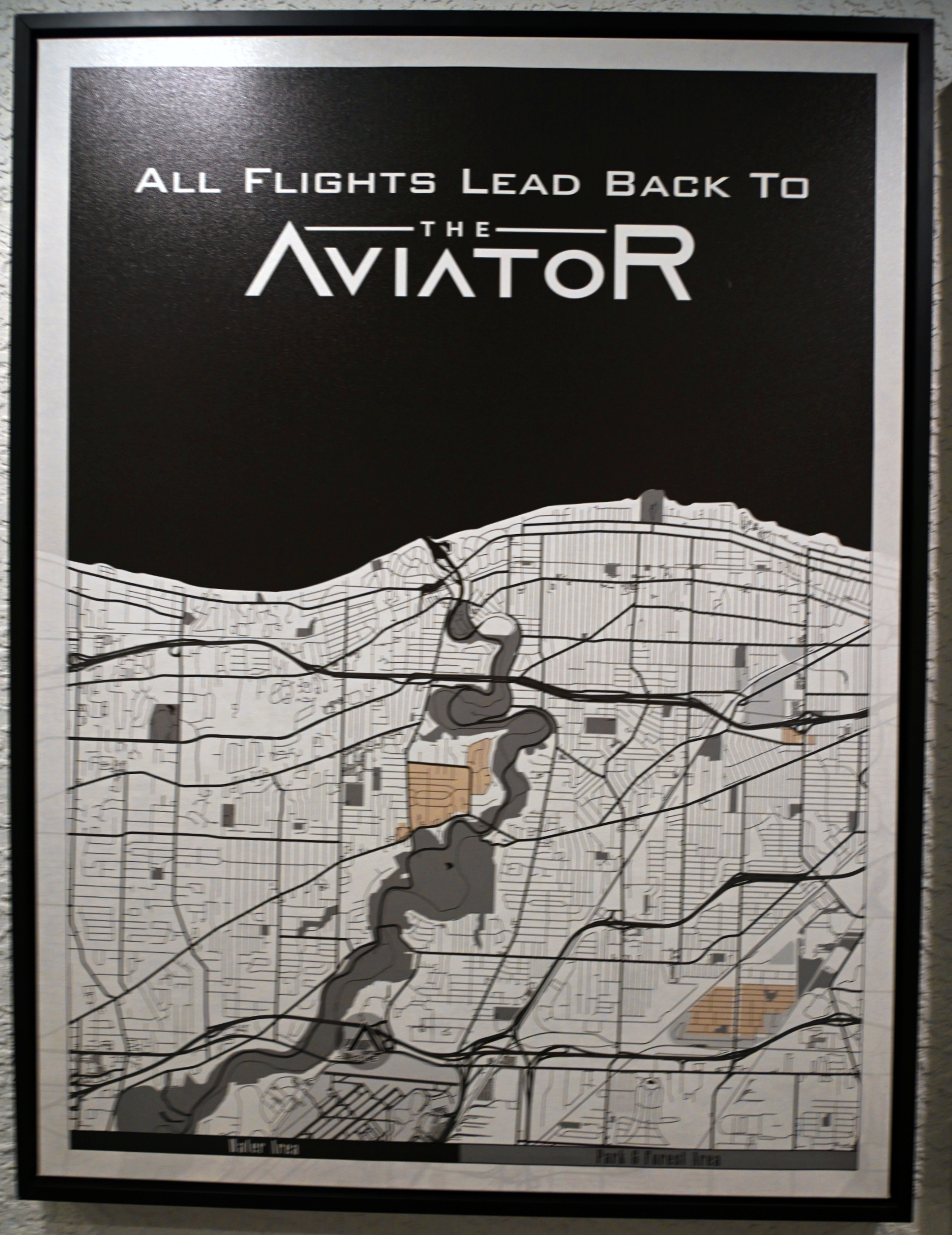 Aviator Sign